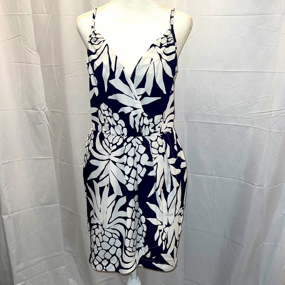 NWT dress